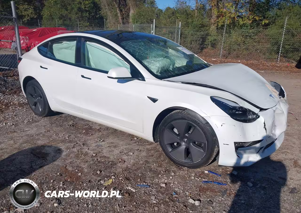 2023 Tesla Model 3 Rear-Wheel Drive
