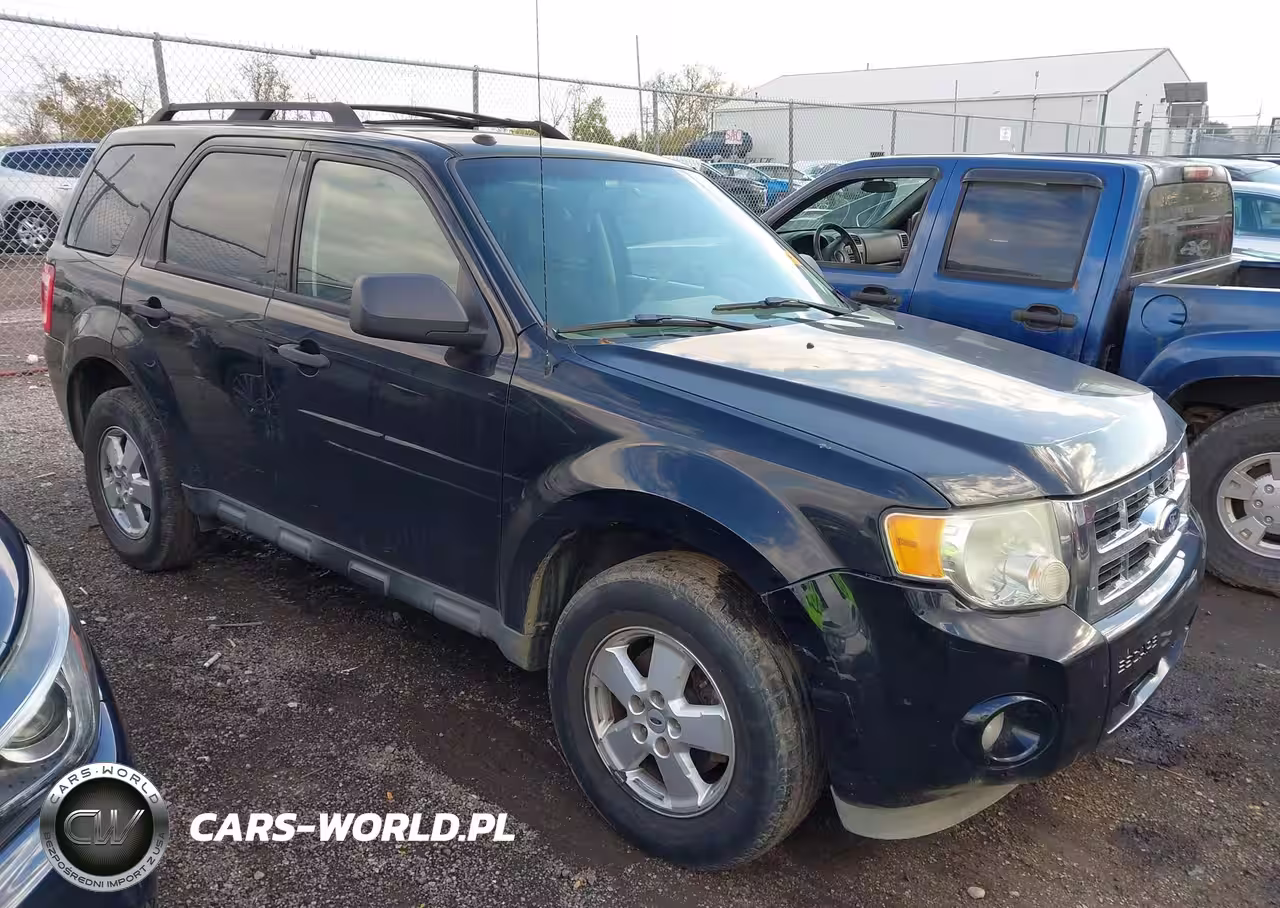 2010 Ford Escape Xlt