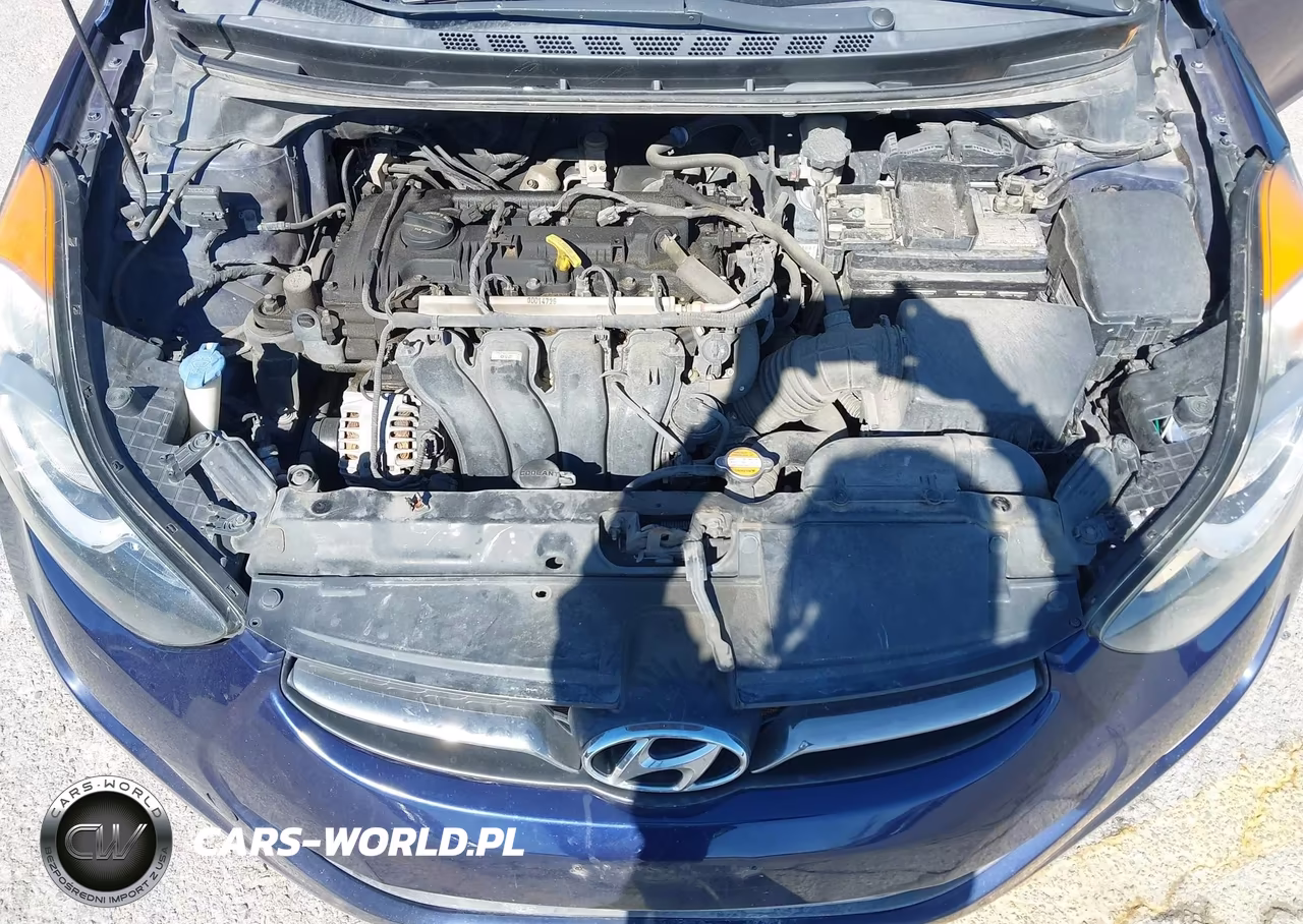 2012 Hyundai Elantra Limited VIN:5NPDH4AE3CH111600 - 10