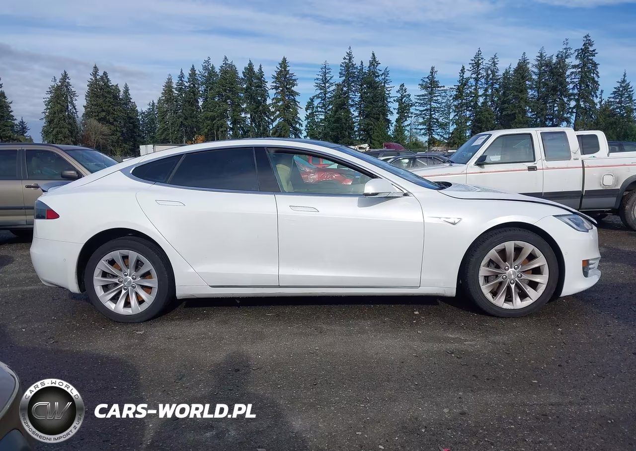 2016 Tesla Model S 60D-70D-75D-85D-90D VIN:5YJSA1E26GF162474 - 13