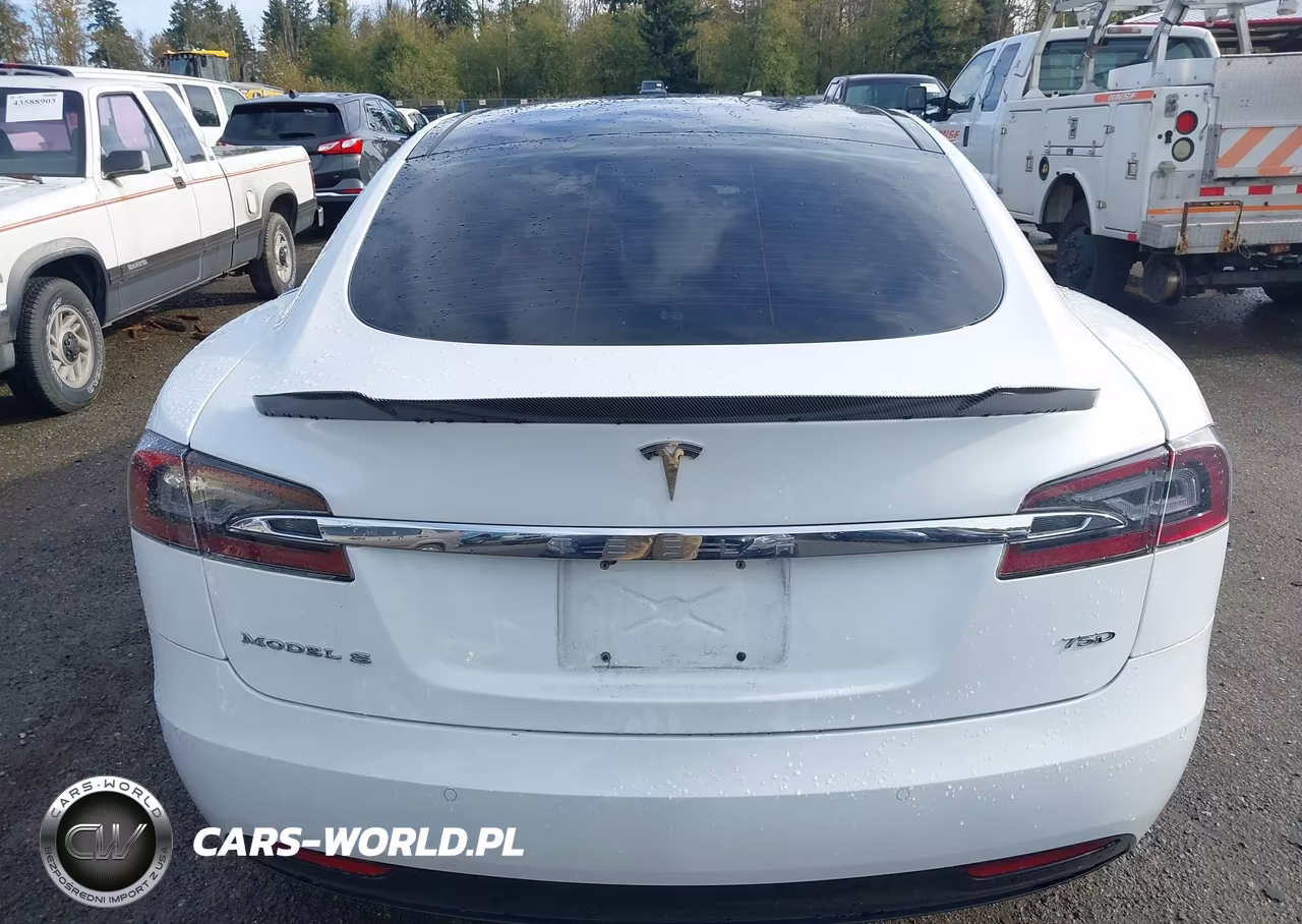 2016 Tesla Model S 60D-70D-75D-85D-90D VIN:5YJSA1E26GF162474 - 16