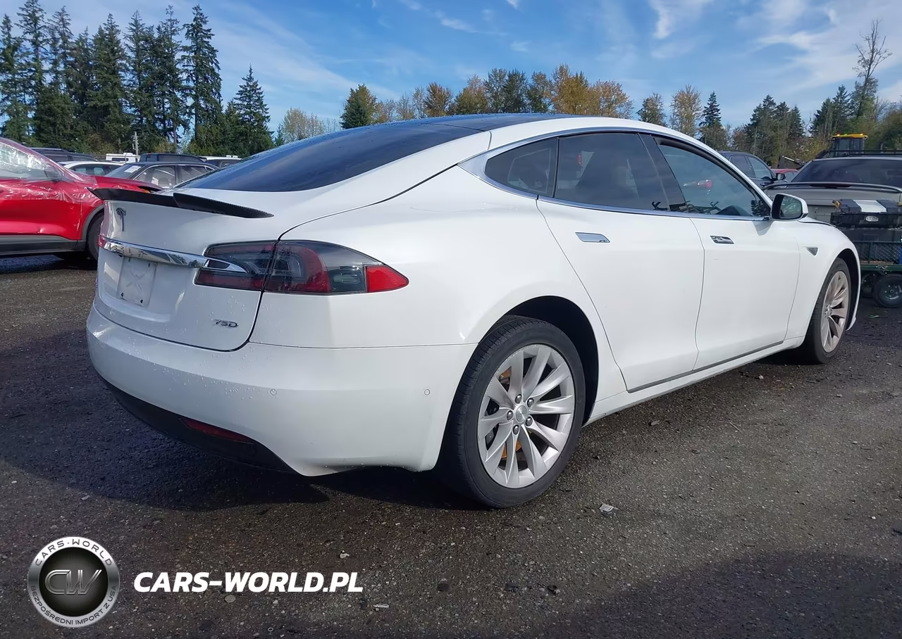 2016 Tesla Model S 60D-70D-75D-85D-90D VIN:5YJSA1E26GF162474 - 4