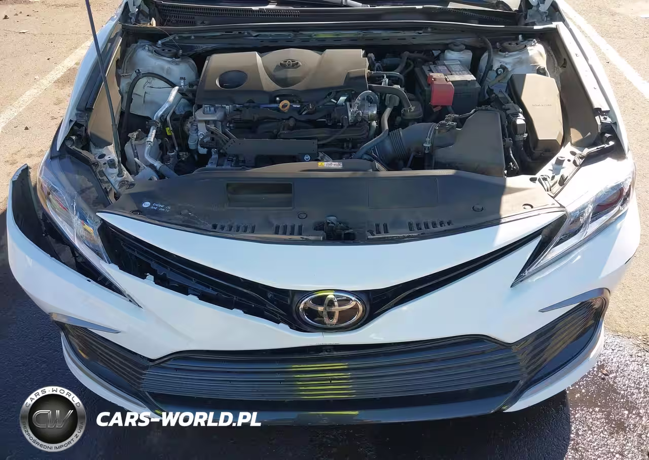 2021 Toyota Camry Le VIN:4T1C11AK5MU436868 - 10