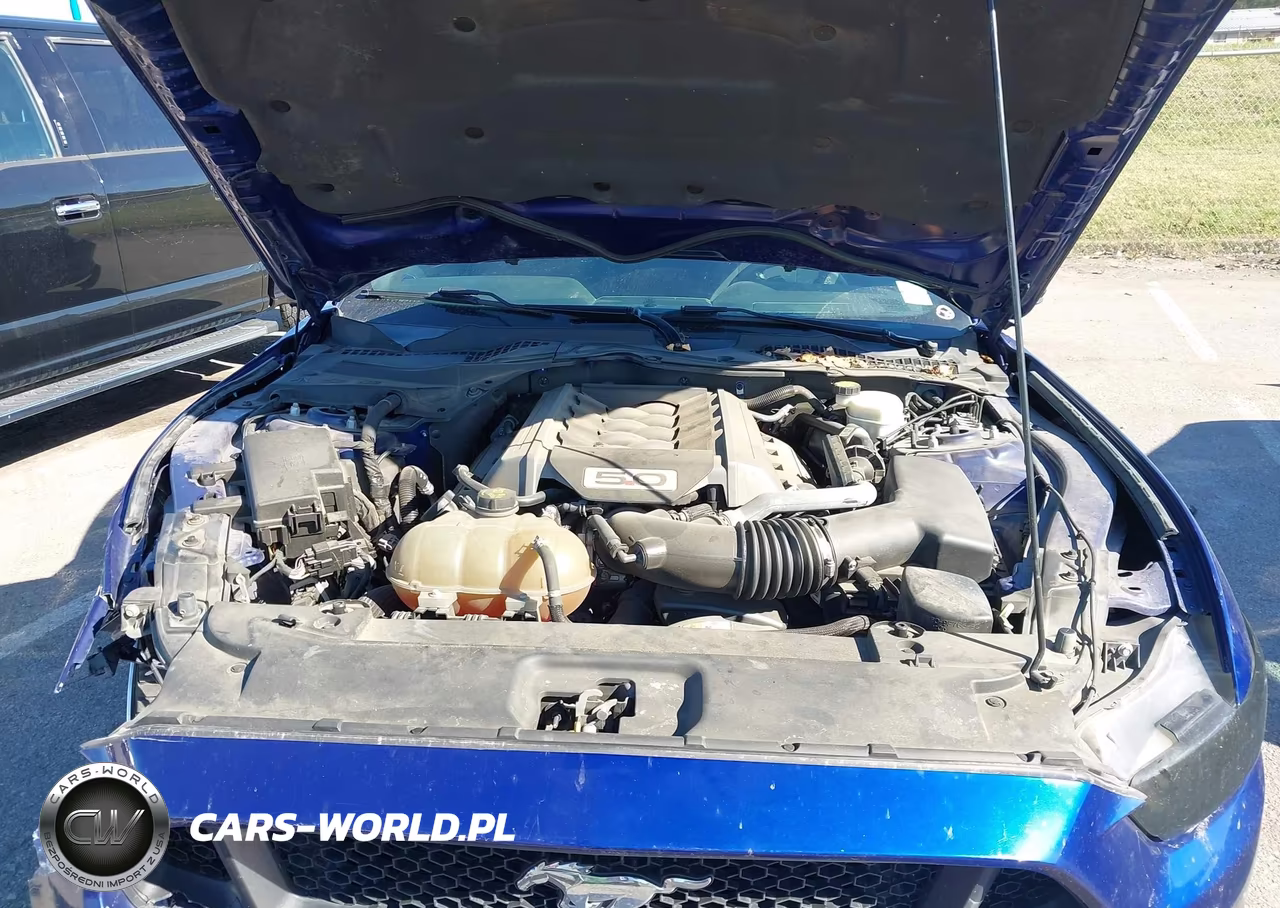 2015 Ford Mustang Gt VIN:1FA6P8CF3F5371482 - 10