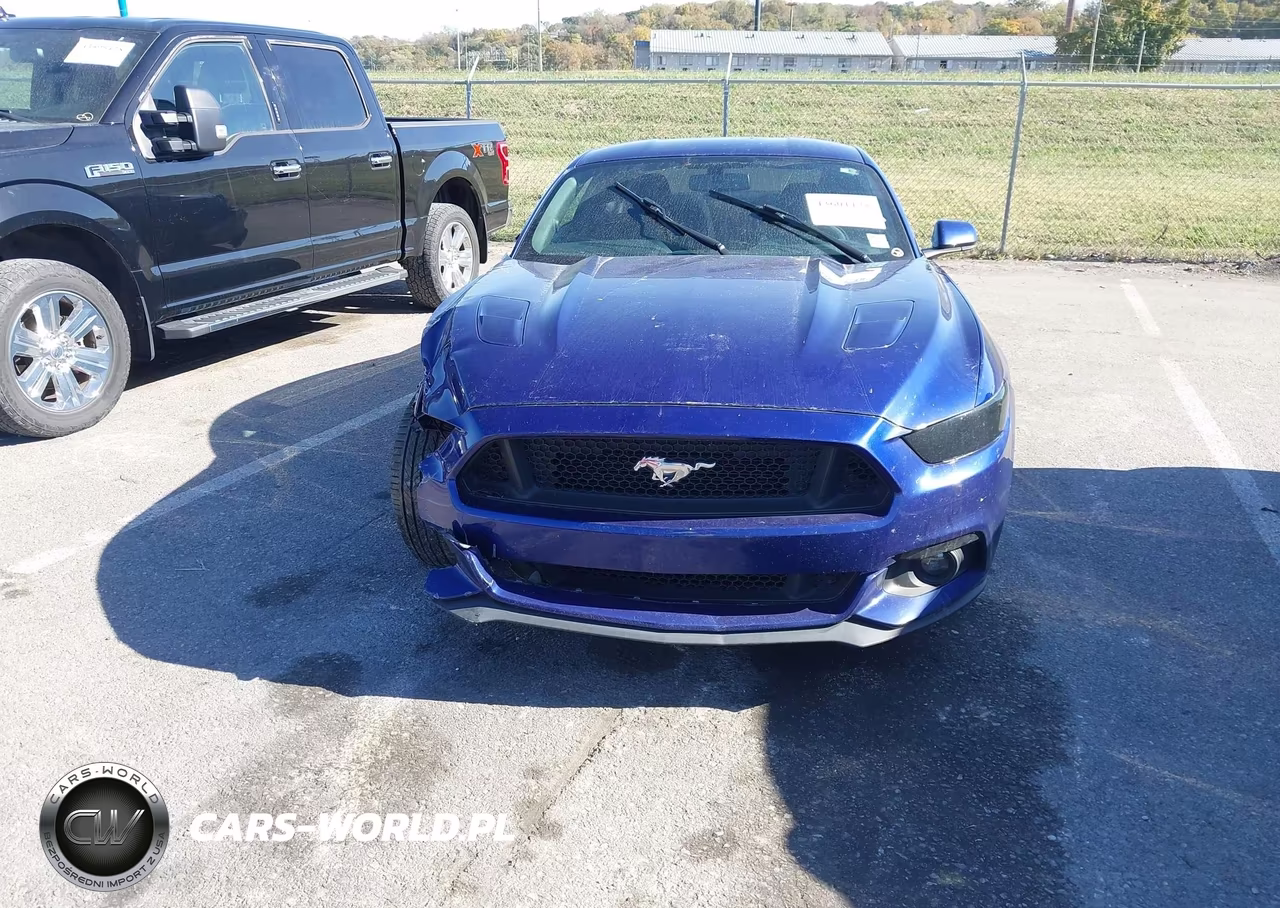 2015 Ford Mustang Gt VIN:1FA6P8CF3F5371482 - 12
