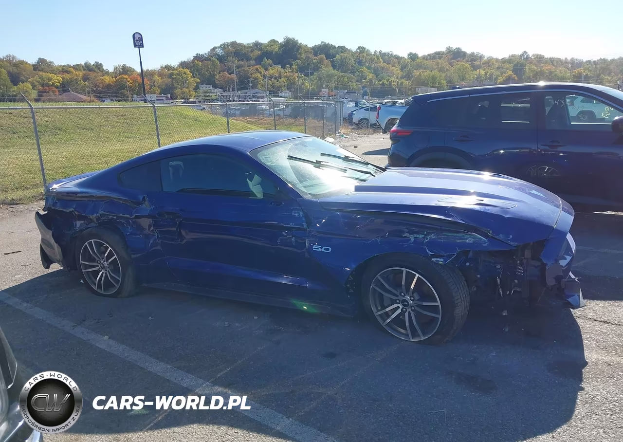 2015 Ford Mustang Gt VIN:1FA6P8CF3F5371482 - 13
