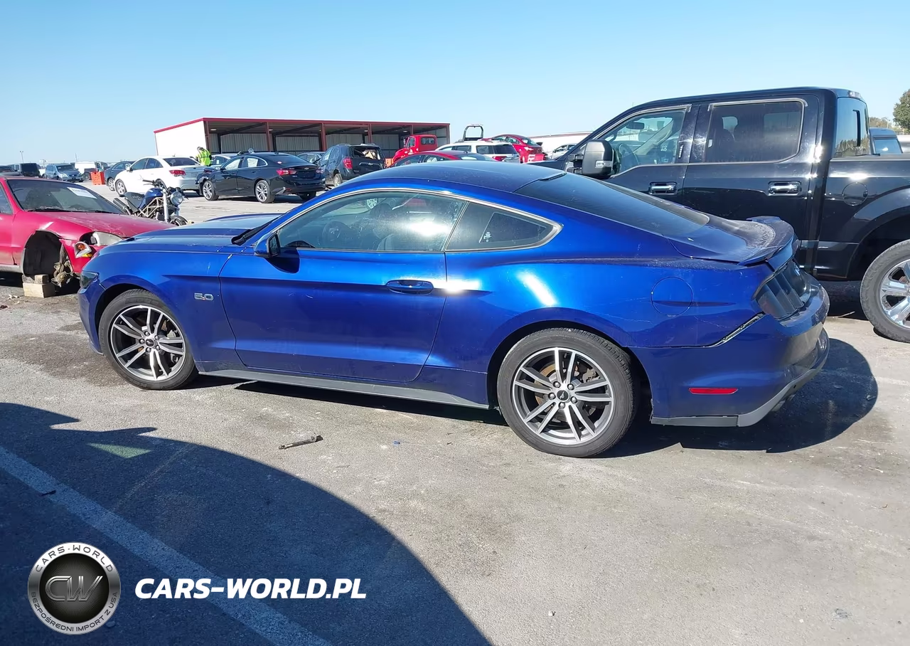 2015 Ford Mustang Gt VIN:1FA6P8CF3F5371482 - 14