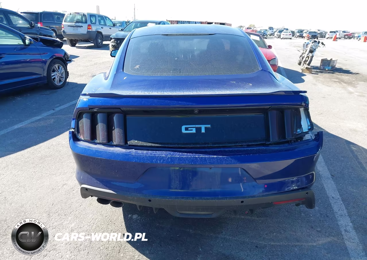 2015 Ford Mustang Gt VIN:1FA6P8CF3F5371482 - 16