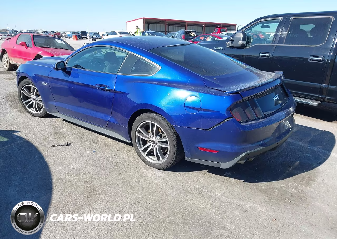 2015 Ford Mustang Gt VIN:1FA6P8CF3F5371482 - 3