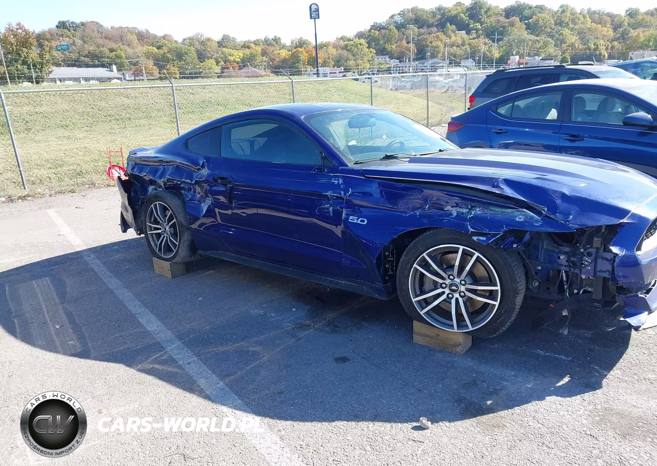 2015 Ford Mustang Gt VIN:1FA6P8CF3F5371482 - 6