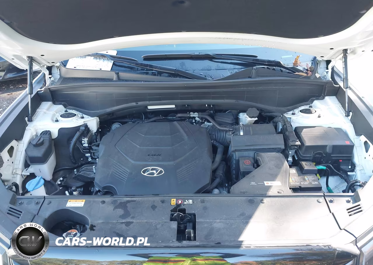 2025 Hyundai Palisade Xrt VIN:KM8R3DGE3SU839607 - 10