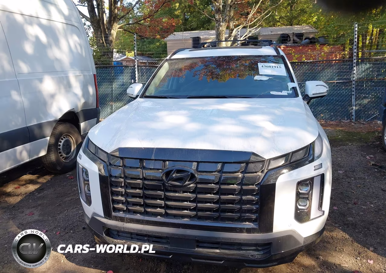2025 Hyundai Palisade Xrt VIN:KM8R3DGE3SU839607 - 12