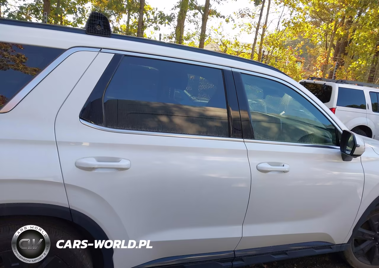 2025 Hyundai Palisade Xrt VIN:KM8R3DGE3SU839607 - 13