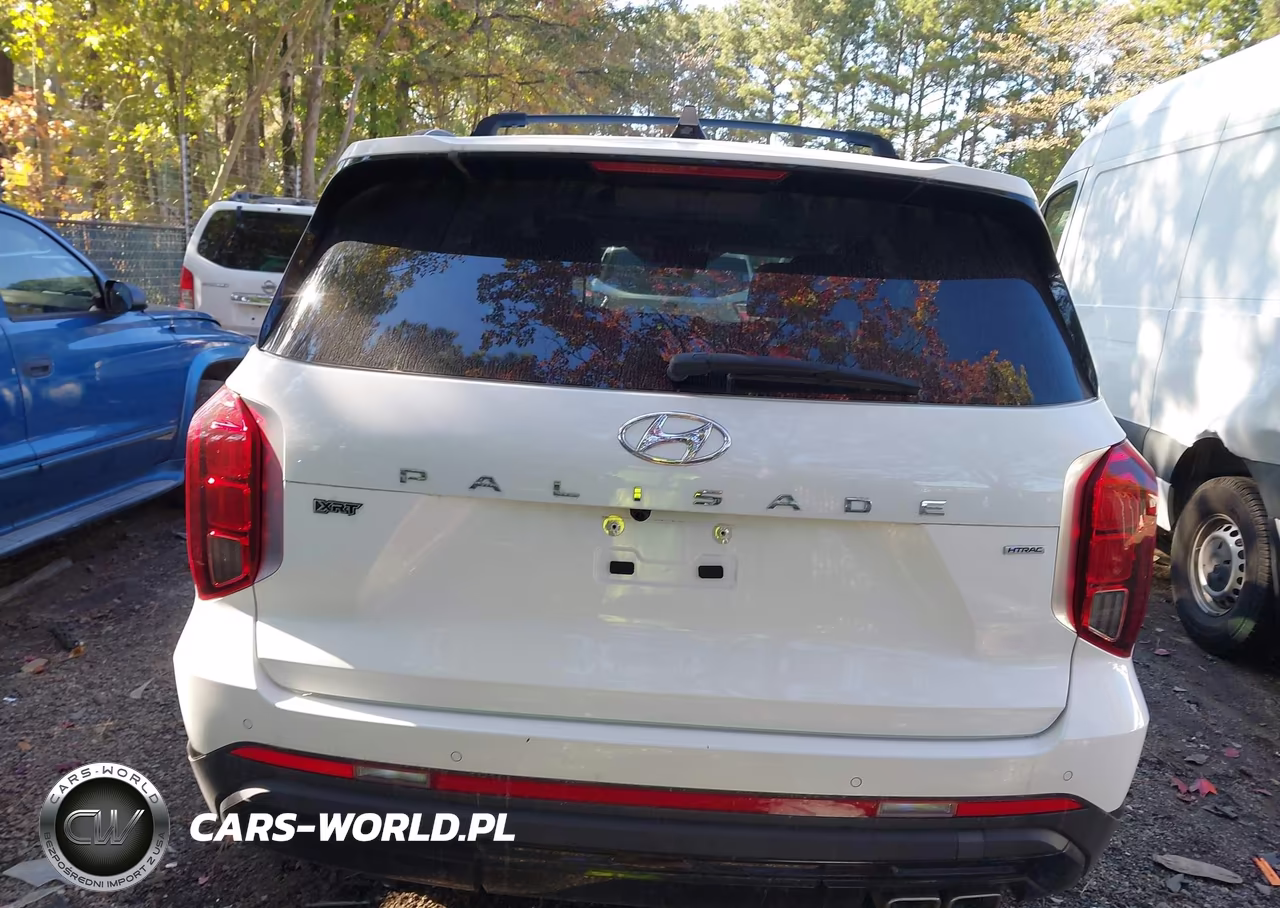 2025 Hyundai Palisade Xrt VIN:KM8R3DGE3SU839607 - 16