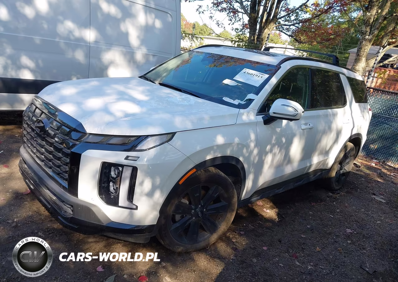 2025 Hyundai Palisade Xrt VIN:KM8R3DGE3SU839607 - 2