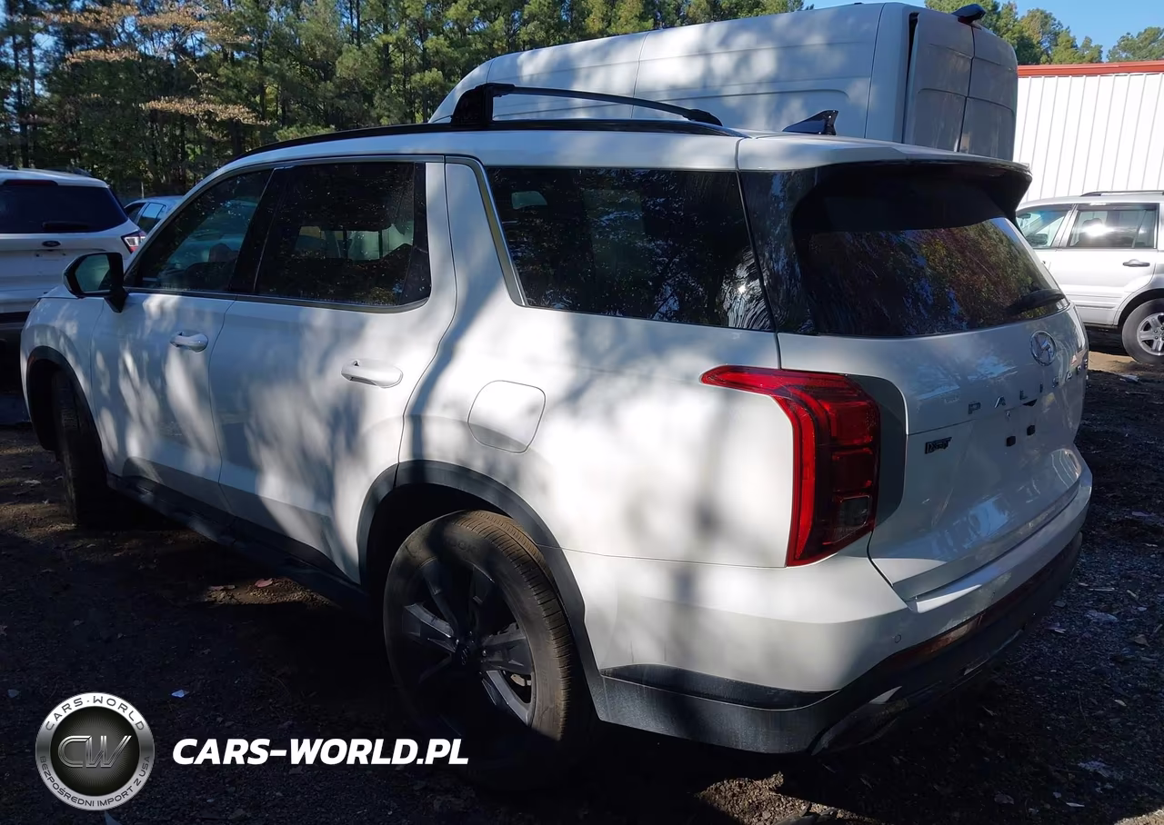 2025 Hyundai Palisade Xrt VIN:KM8R3DGE3SU839607 - 3