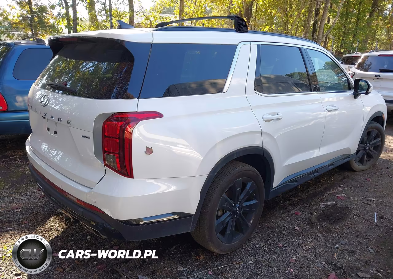 2025 Hyundai Palisade Xrt VIN:KM8R3DGE3SU839607 - 4