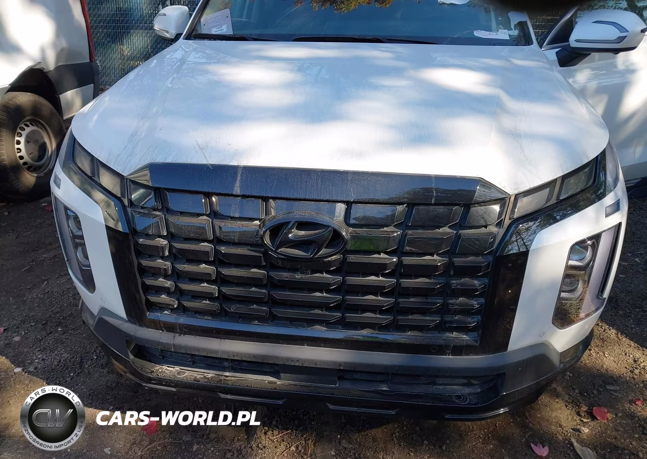 2025 Hyundai Palisade Xrt VIN:KM8R3DGE3SU839607 - 6