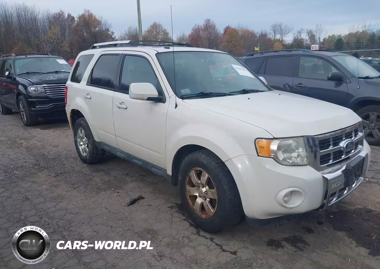 2011 Ford Escape Limited
