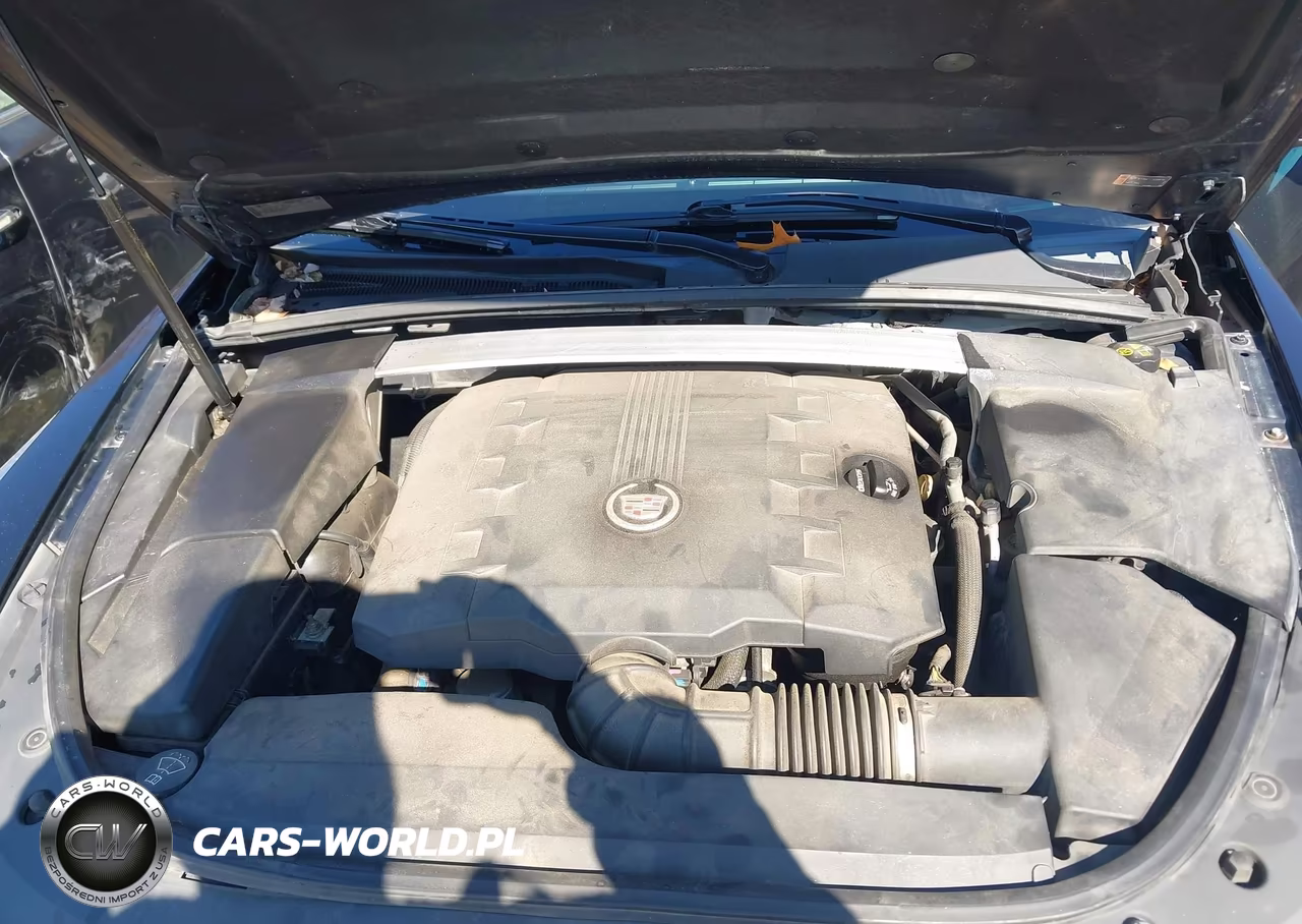2013 Cadillac Cts Luxury VIN:1G6DE5E53D0167689 - 10
