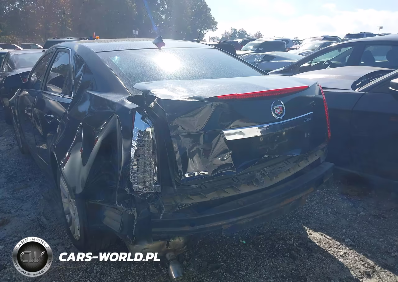 2013 Cadillac Cts Luxury VIN:1G6DE5E53D0167689 - 3