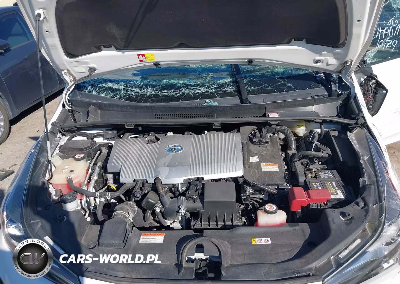 2019 Toyota Prius L Eco-Le-Limited-Xle VIN:JTDKARFU1K3079135 - 10