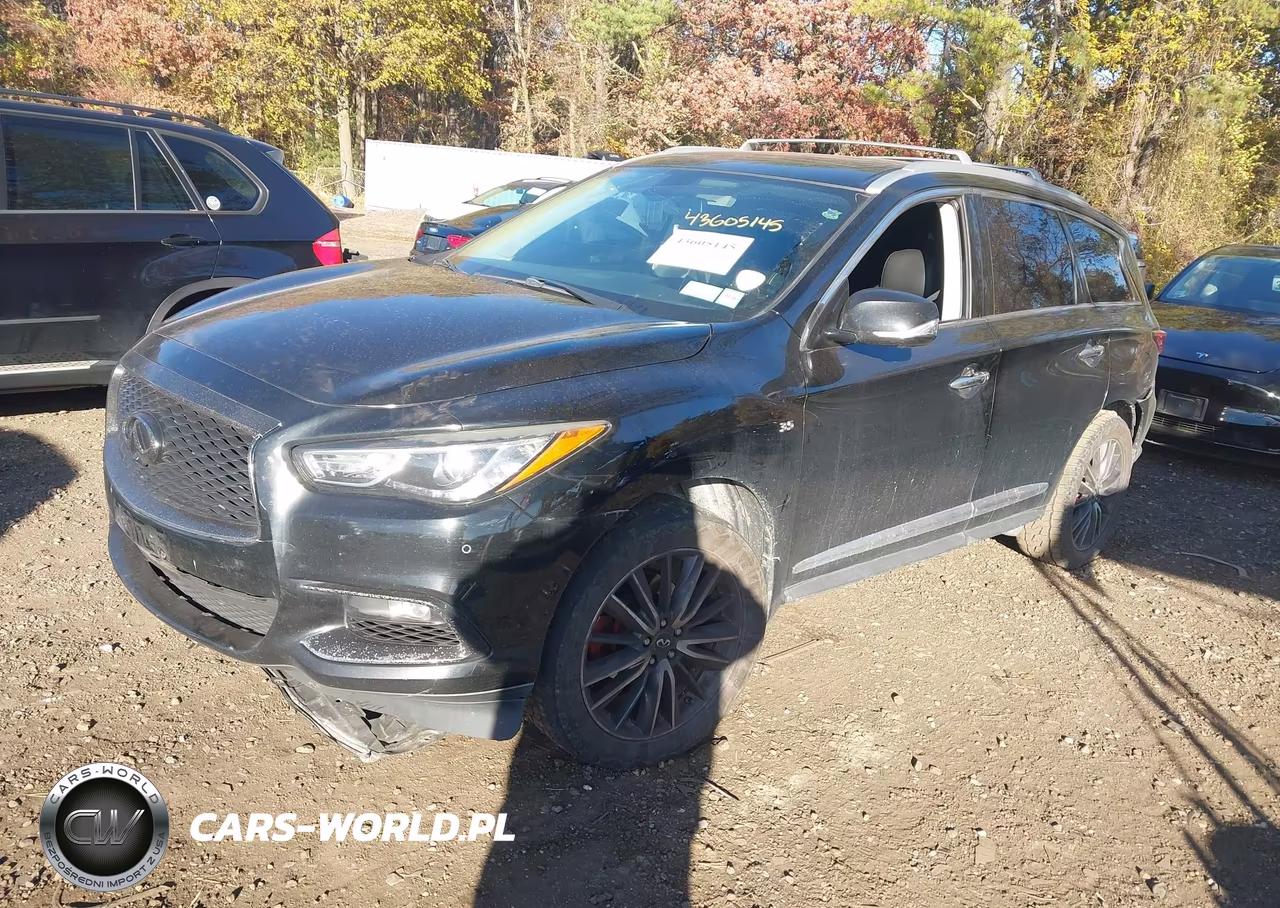 2018 Infiniti Qx60 VIN:5N1DL0MM5JC528375 - 2