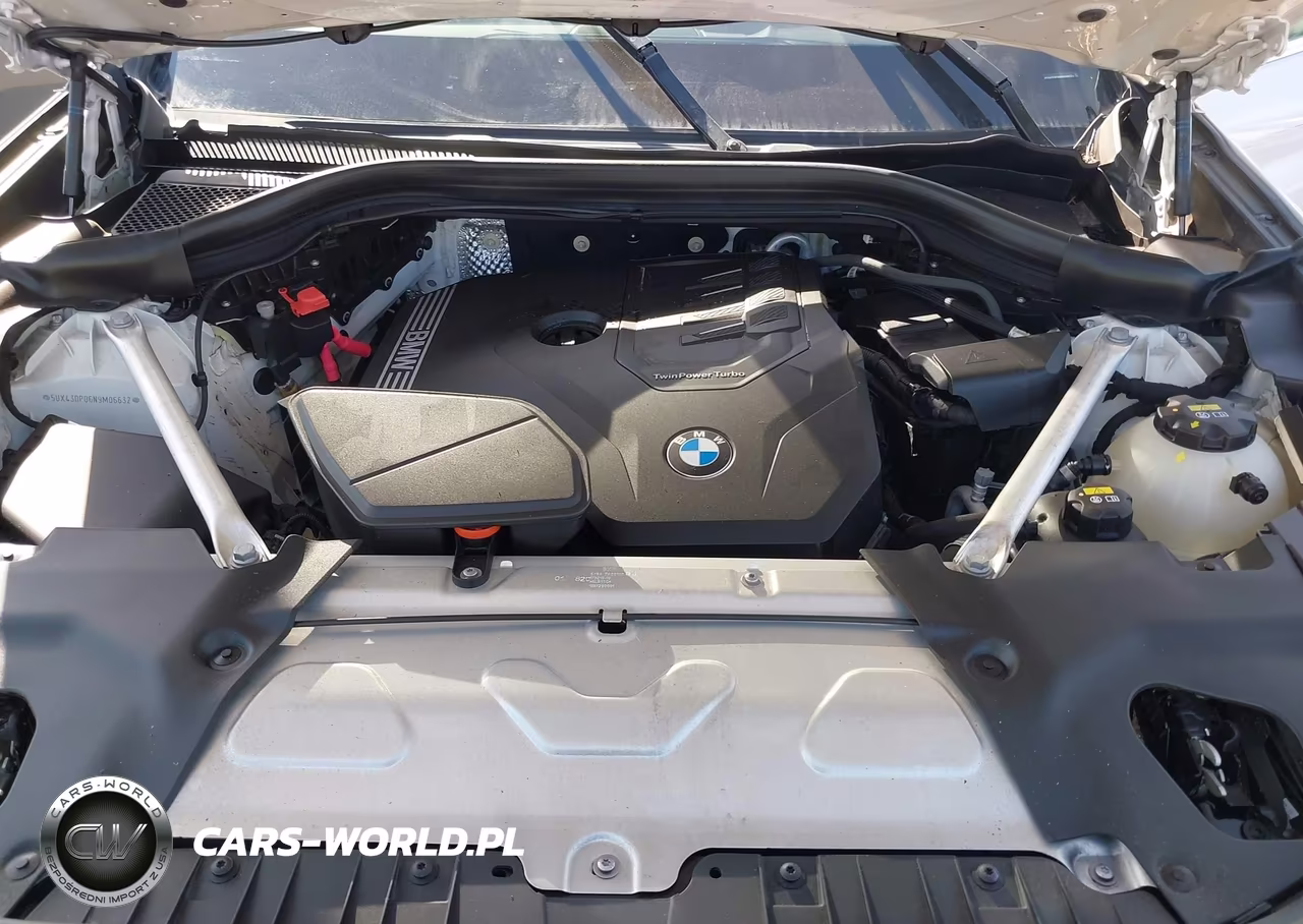 2022 BMW X3 Sdrive30I VIN:5UX43DP06N9M06632 - 10