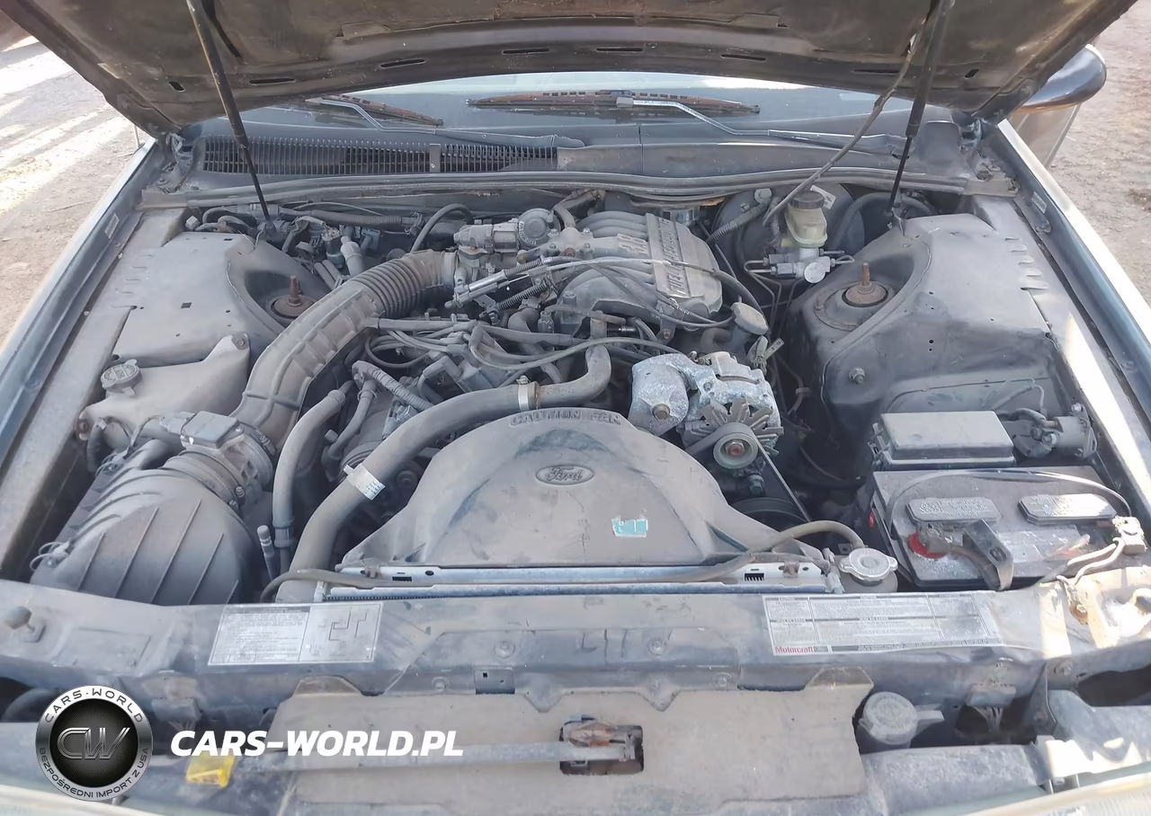1993 Ford Thunderbird Lx VIN:1FAPP6241PH223095 - 10