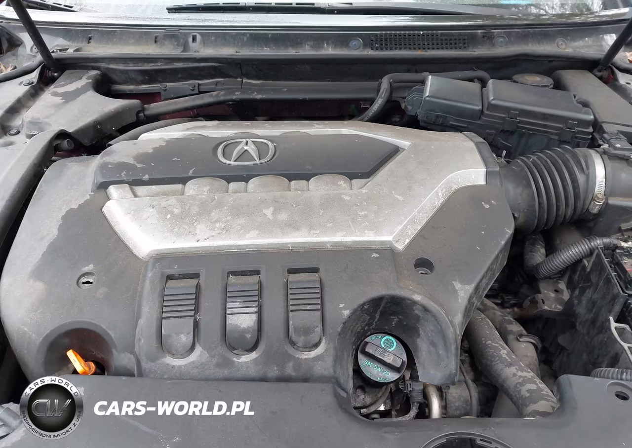 2009 Acura Rl 3.7 VIN:JH4KB266X9C001161 - 10
