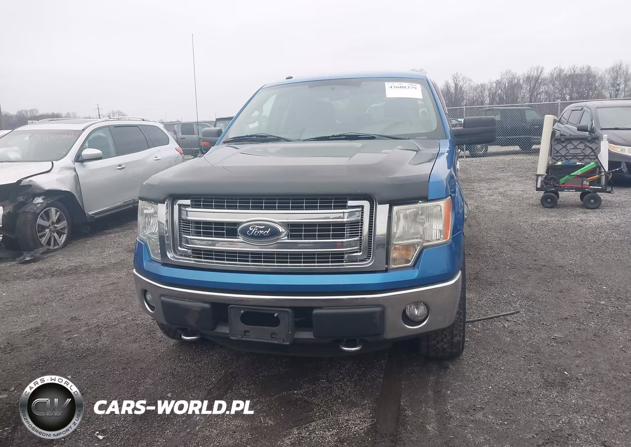 2014 Ford F-150 Xlt VIN:1FTFX1EF7EFC20720 - 12