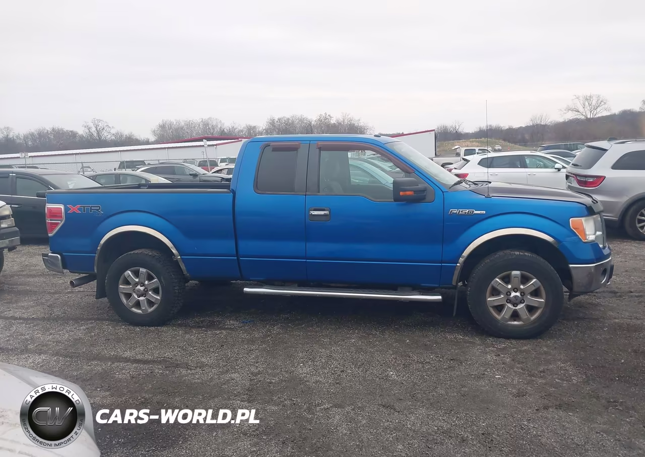 2014 Ford F-150 Xlt VIN:1FTFX1EF7EFC20720 - 13