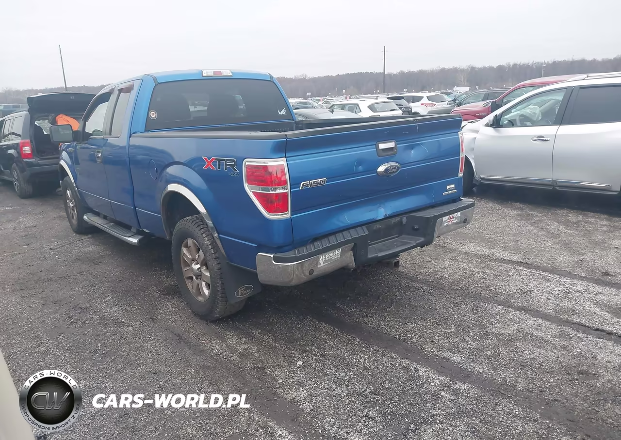 2014 Ford F-150 Xlt VIN:1FTFX1EF7EFC20720 - 3