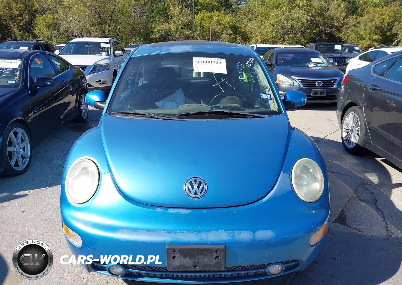 2004 Volkswagen New Beetle Coupe VIN:3VWGK31C54M422364 - 6