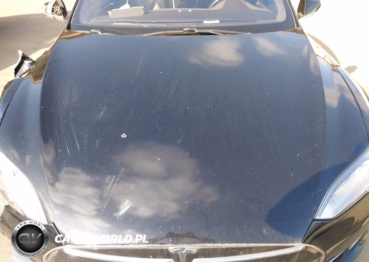 2015 Tesla Model S 60-70-85 VIN:5YJSA1E19FF116630 - 10