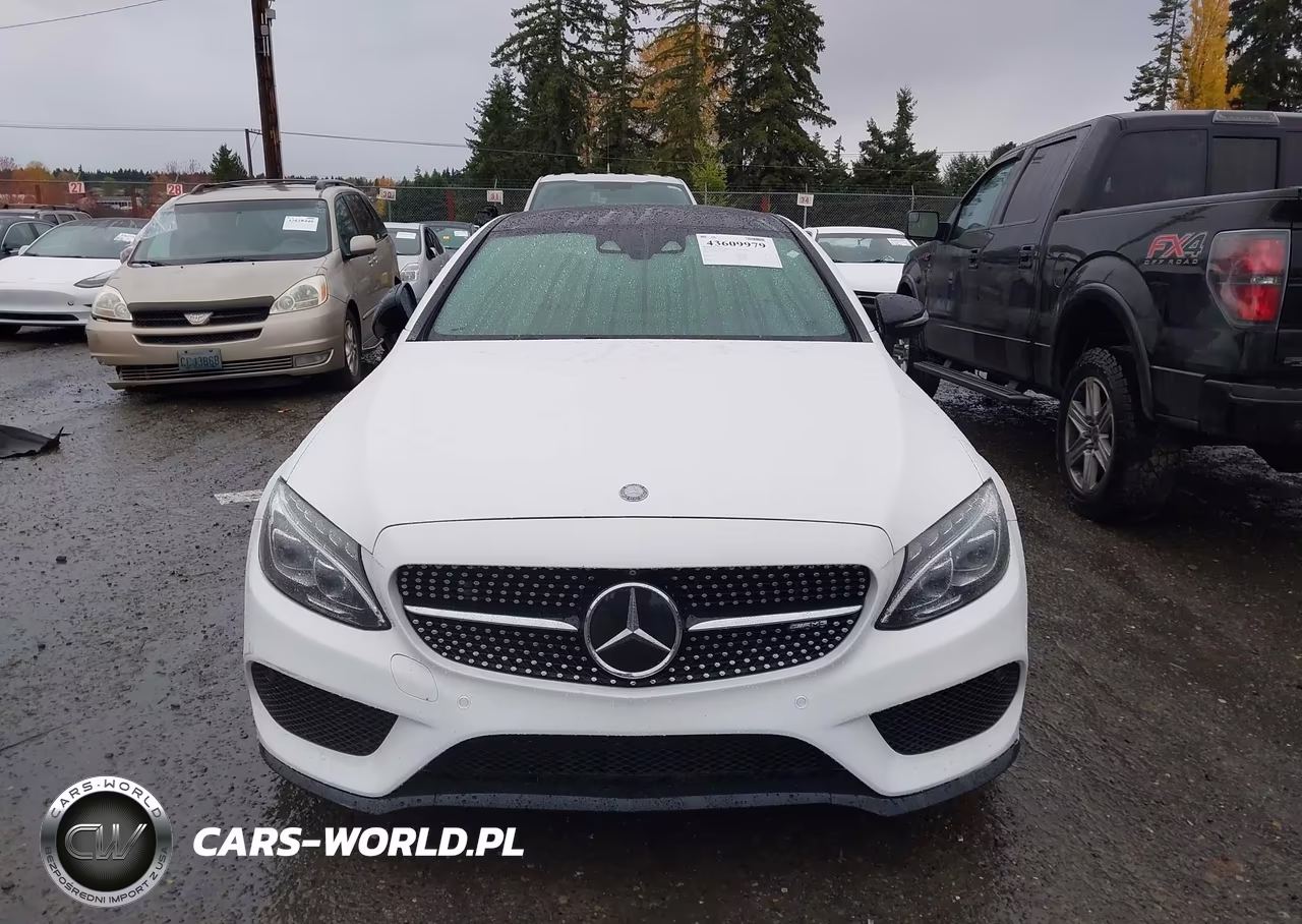 2017 Mercedes-Benz Amg C 43 4Matic VIN:WDDWJ6EB2HF452194 - 12