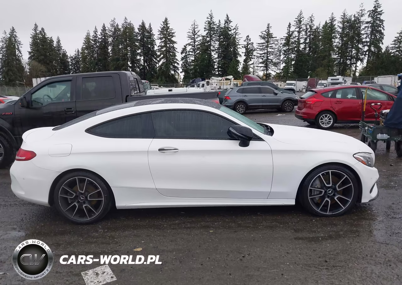 2017 Mercedes-Benz Amg C 43 4Matic VIN:WDDWJ6EB2HF452194 - 13