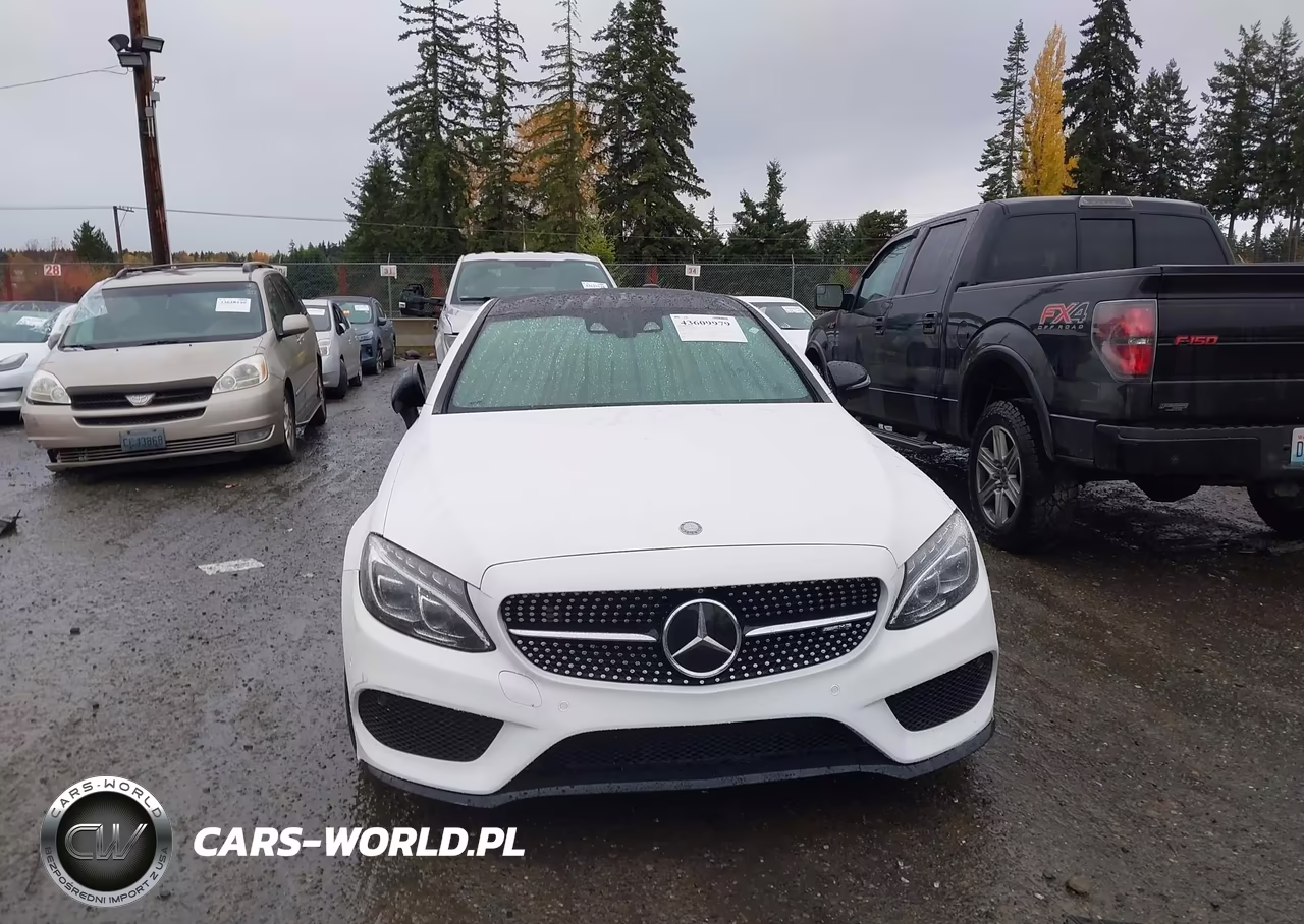 2017 Mercedes-Benz Amg C 43 4Matic VIN:WDDWJ6EB2HF452194 - 6