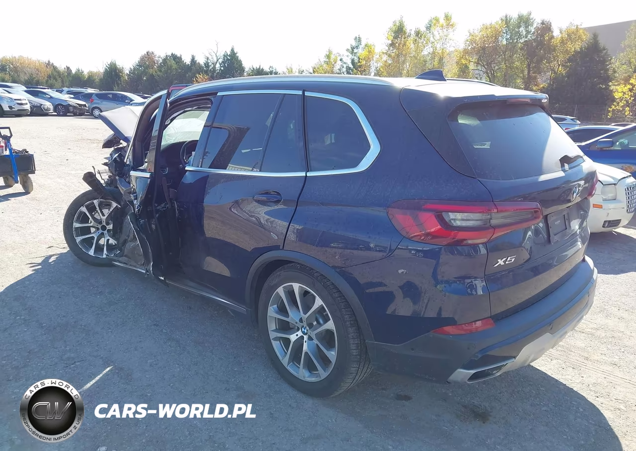 2020 BMW X5 Sdrive40I VIN:5UXCR4C02L9C44045 - 3
