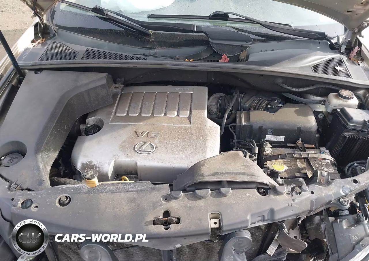 2007 Lexus Rx 350 VIN:2T2HK31U97C023109 - 10