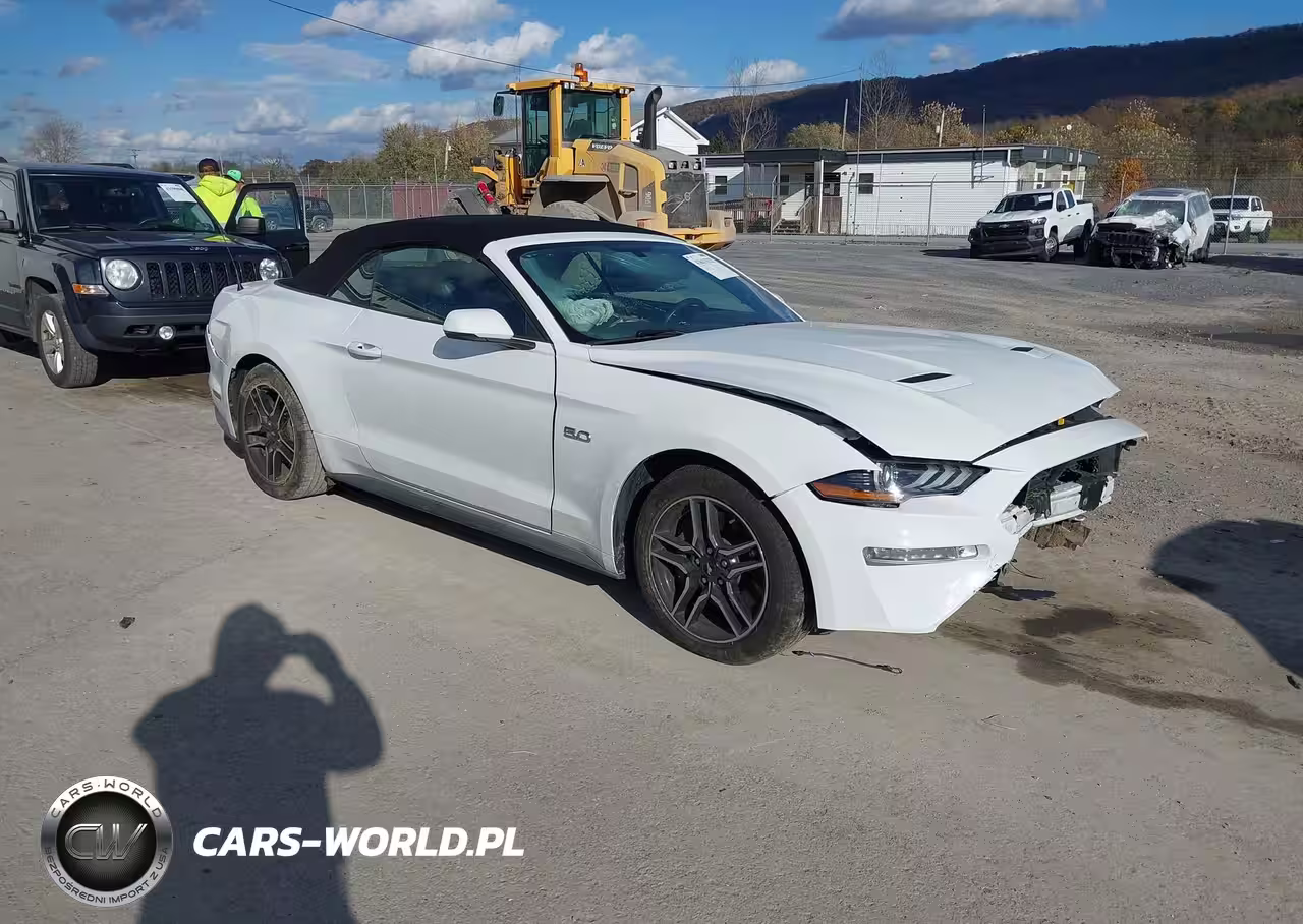 2019 Ford Mustang Gt Premium