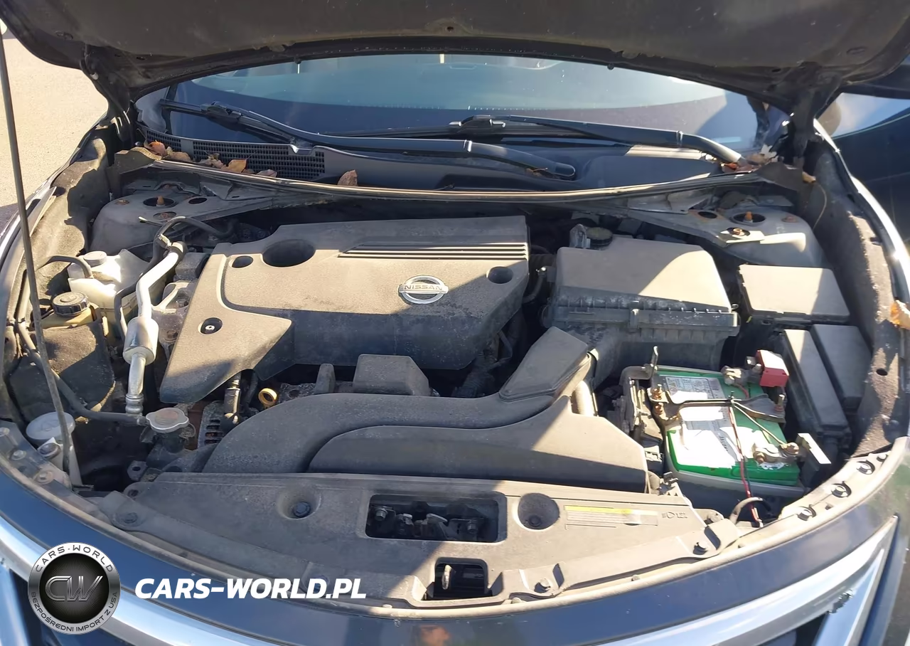 2014 Nissan Altima 2.5 Sl VIN:1N4AL3APXEN254372 - 10