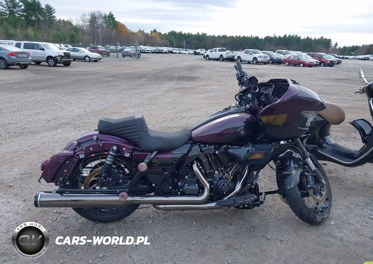 2025 Harley-Davidson Fltrxse VIN:1HD1TC613SB960030 - 12