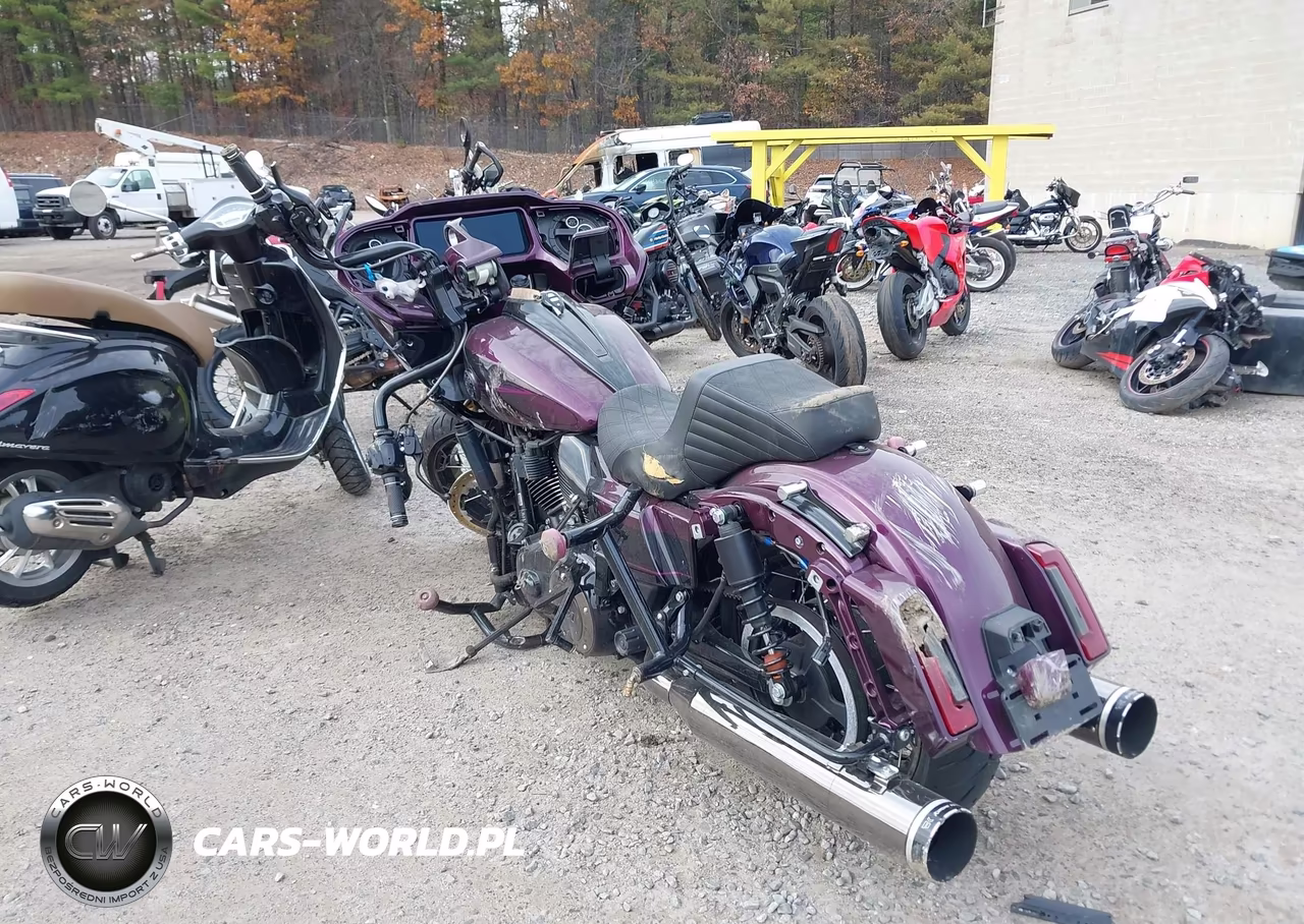 2025 Harley-Davidson Fltrxse VIN:1HD1TC613SB960030 - 3