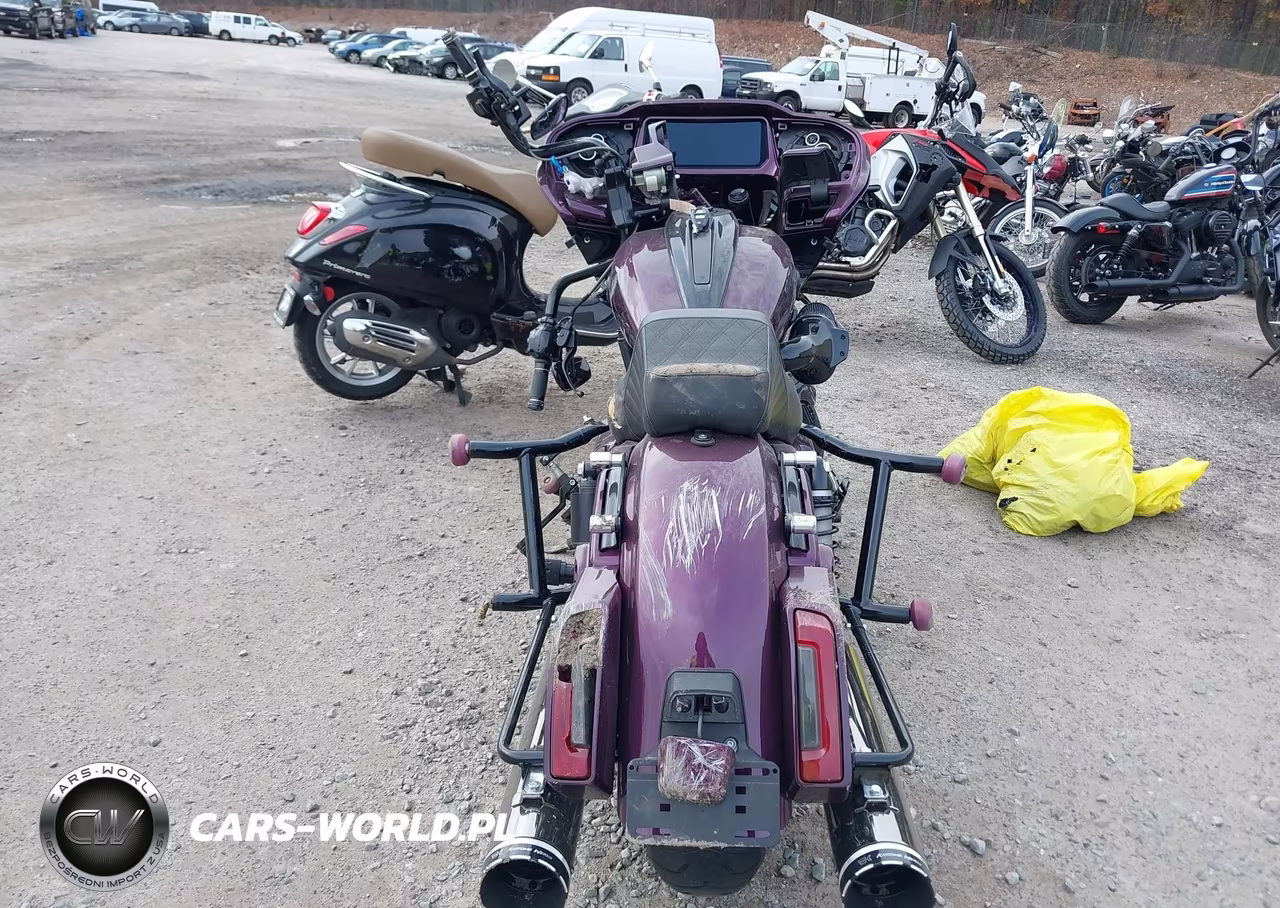 2025 Harley-Davidson Fltrxse VIN:1HD1TC613SB960030 - 6