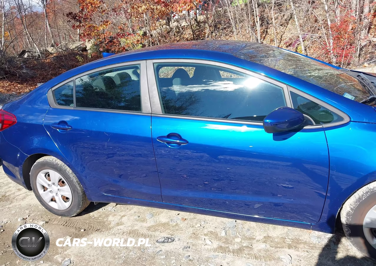 2018 Kia Forte Lx VIN:3KPFL4A73JE190616 - 13