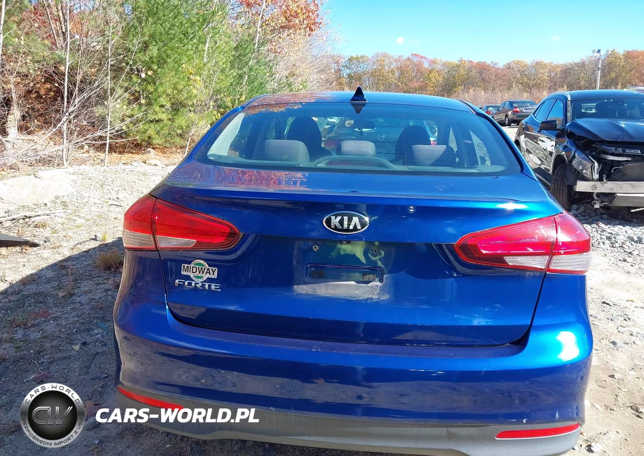 2018 Kia Forte Lx VIN:3KPFL4A73JE190616 - 16