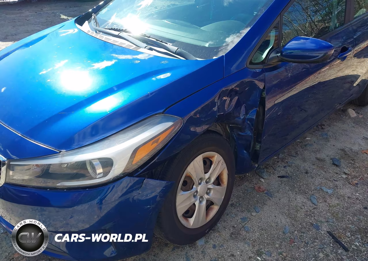 2018 Kia Forte Lx VIN:3KPFL4A73JE190616 - 6