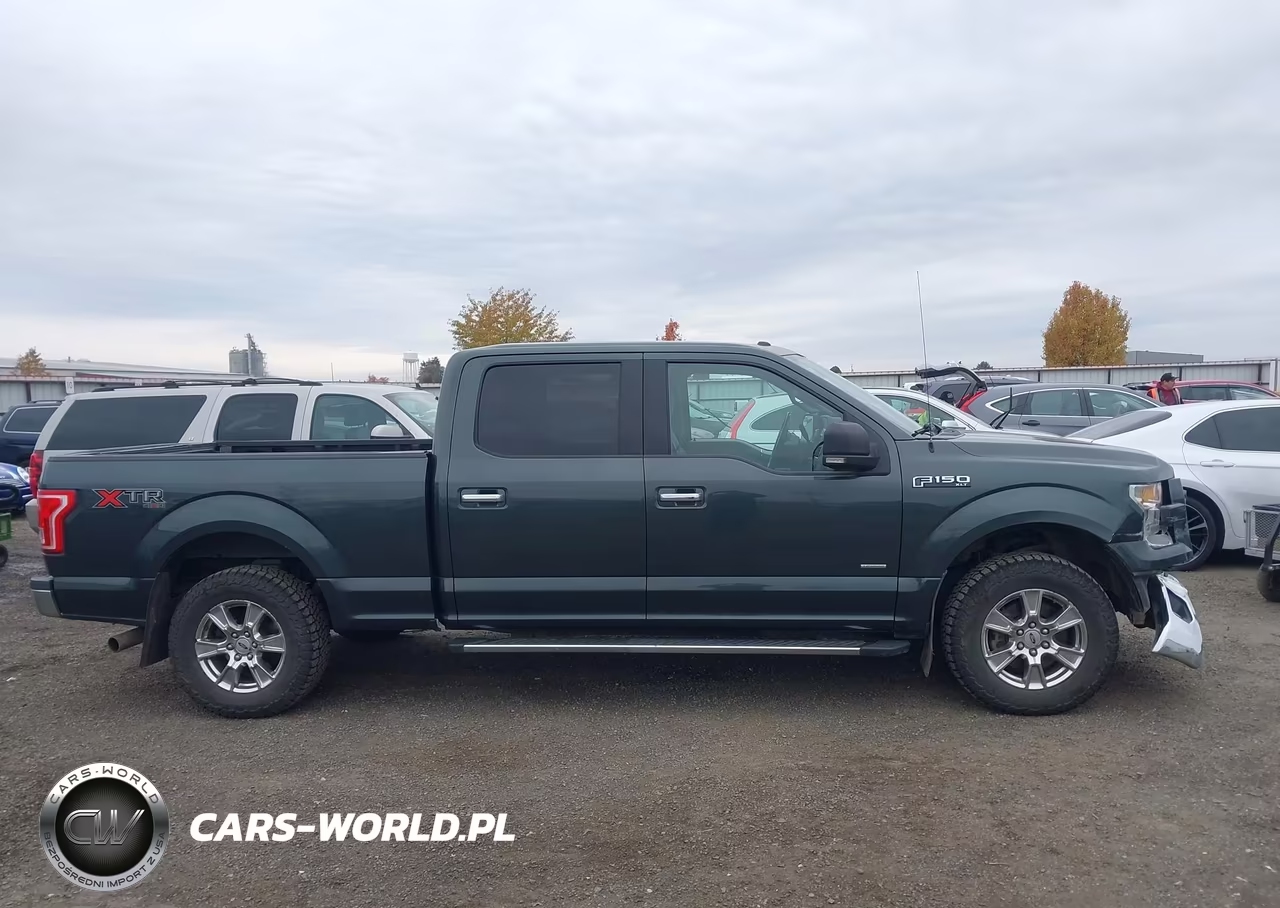 2015 Ford F-150 Xlt VIN:1FTFW1EG0FFA64498 - 13