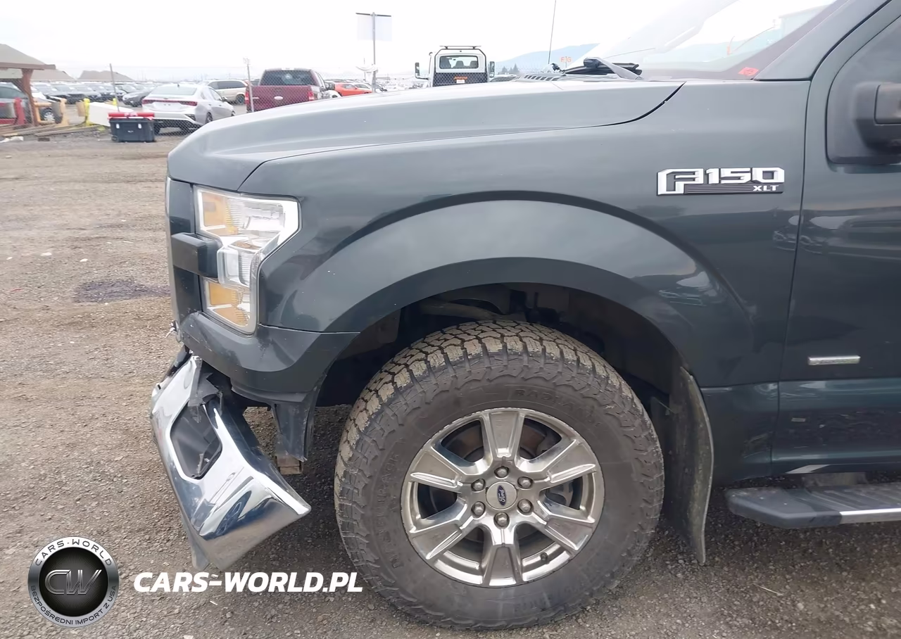 2015 Ford F-150 Xlt VIN:1FTFW1EG0FFA64498 - 17